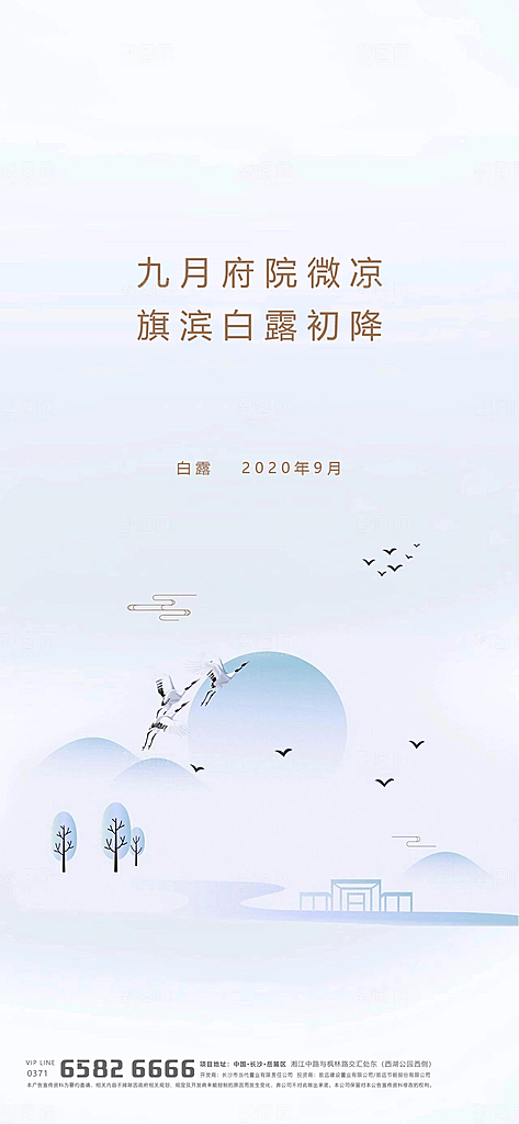 白露节气简约大气海报