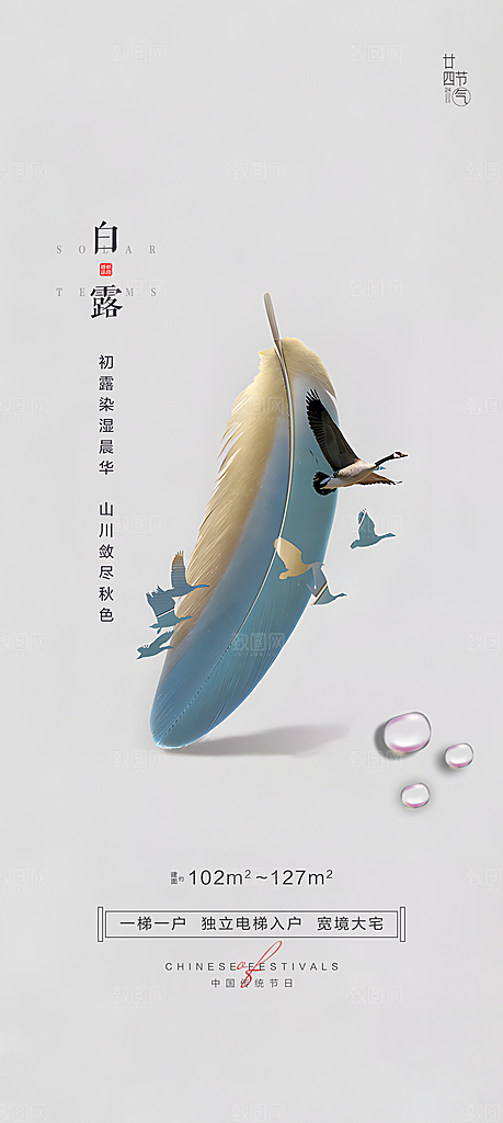 白露节气简约大气海报