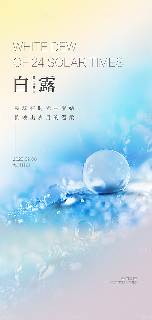 白露节气简约大气海报
