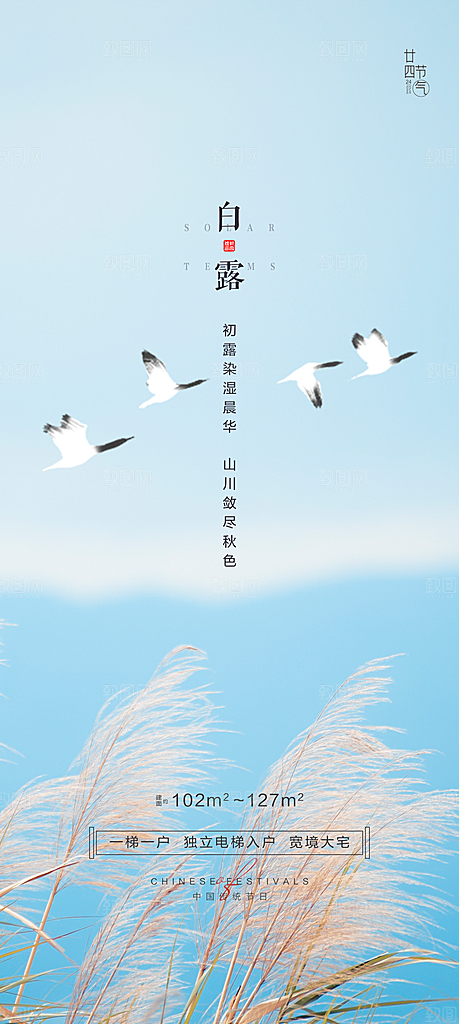 白露节气简约大气海报
