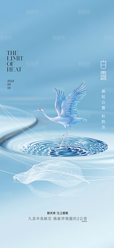 白露节气简约大气海报
