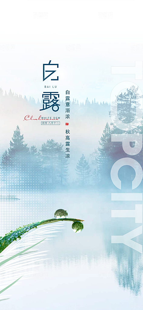 白露节气简约大气海报