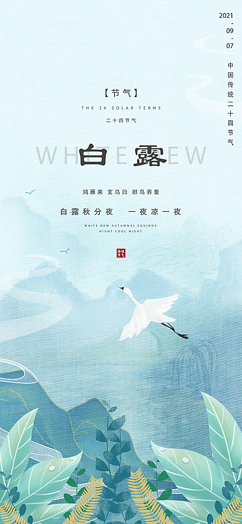 白露节气简约大气海报