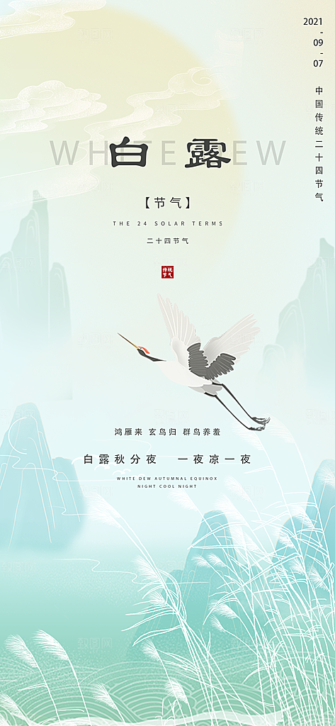 白露节气简约大气海报