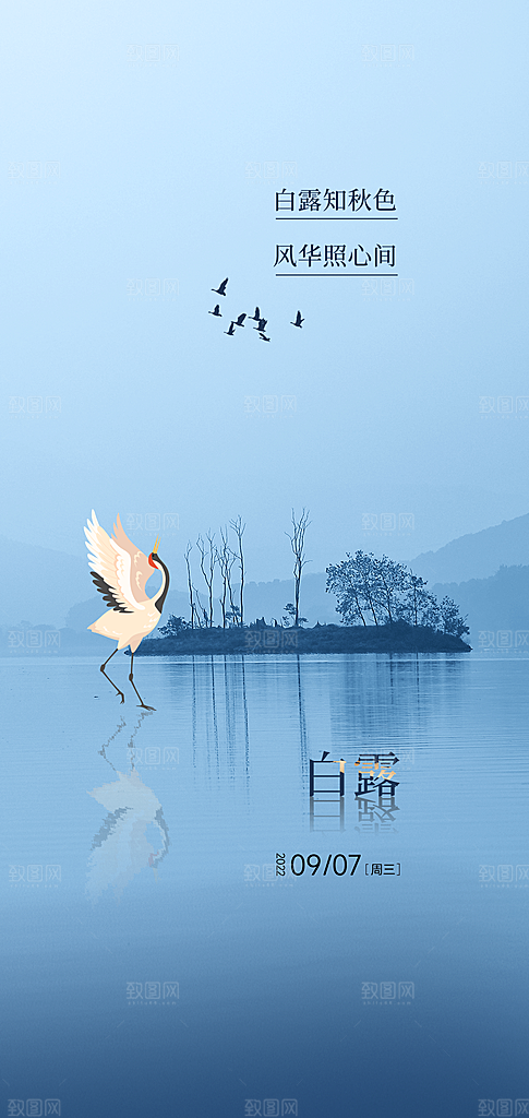 白露节气简约大气海报