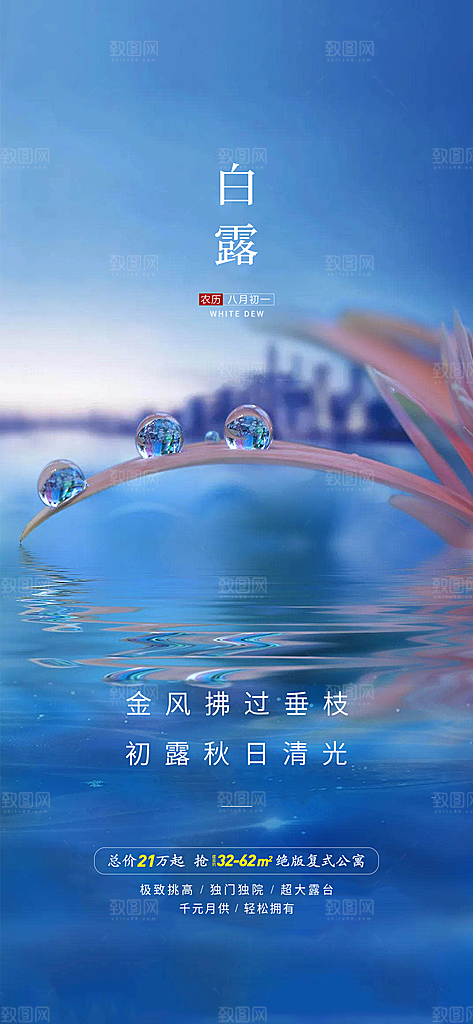 白露节气简约大气海报