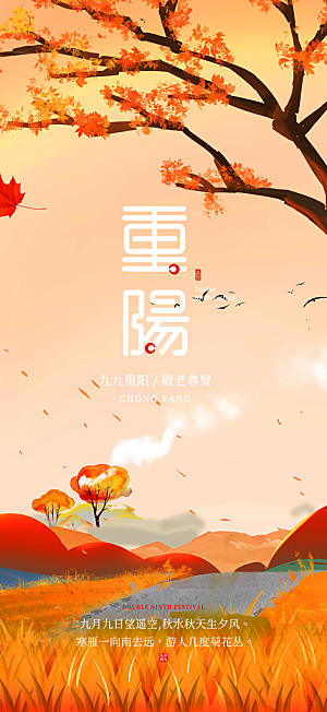 重阳节爱老宣传活动海报