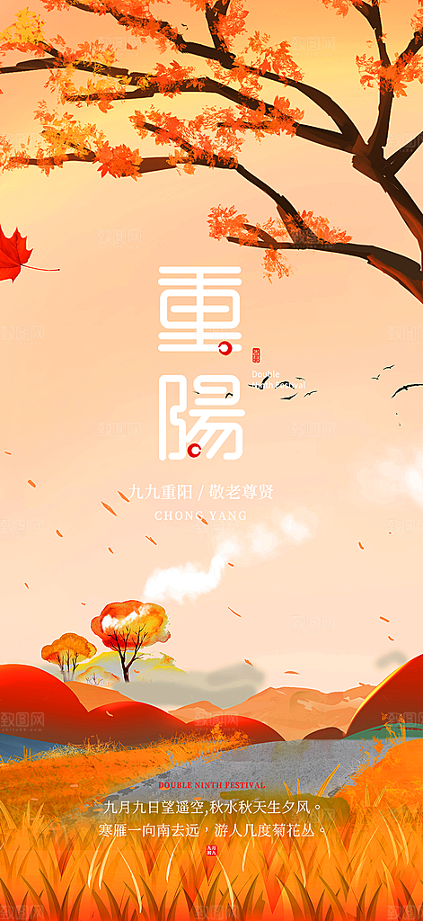 重阳节爱老宣传活动海报