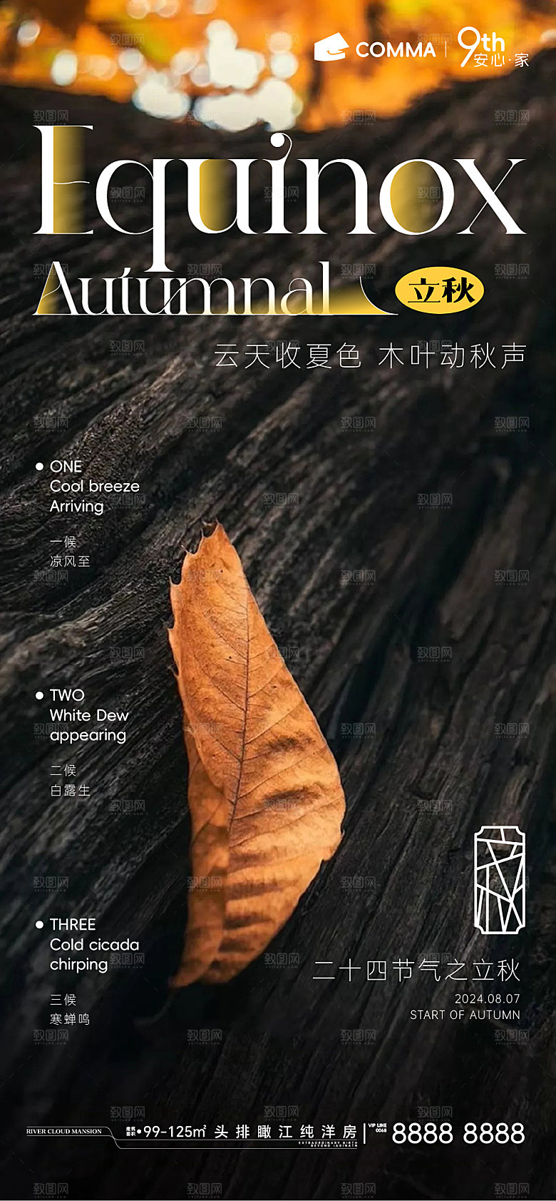 二十四节气立秋秋分落叶海报