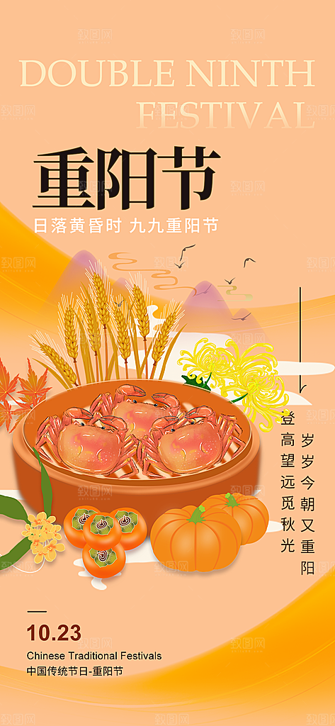 节日重阳节敬老爱老宣传活动海报