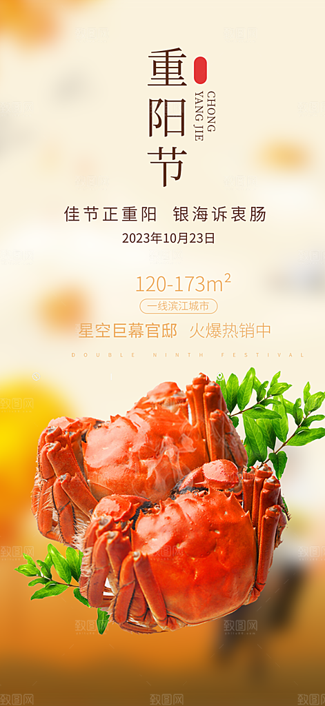 重阳节敬老爱老宣传活动海报