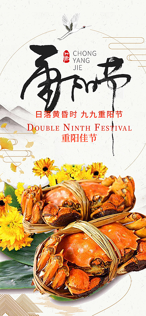 重阳节敬老爱老宣传活动海报