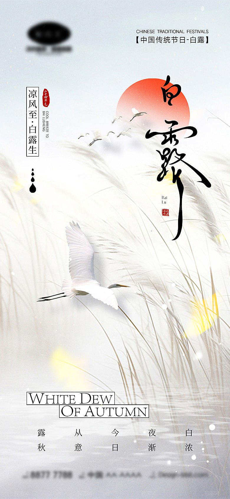 白露节气宣传海报