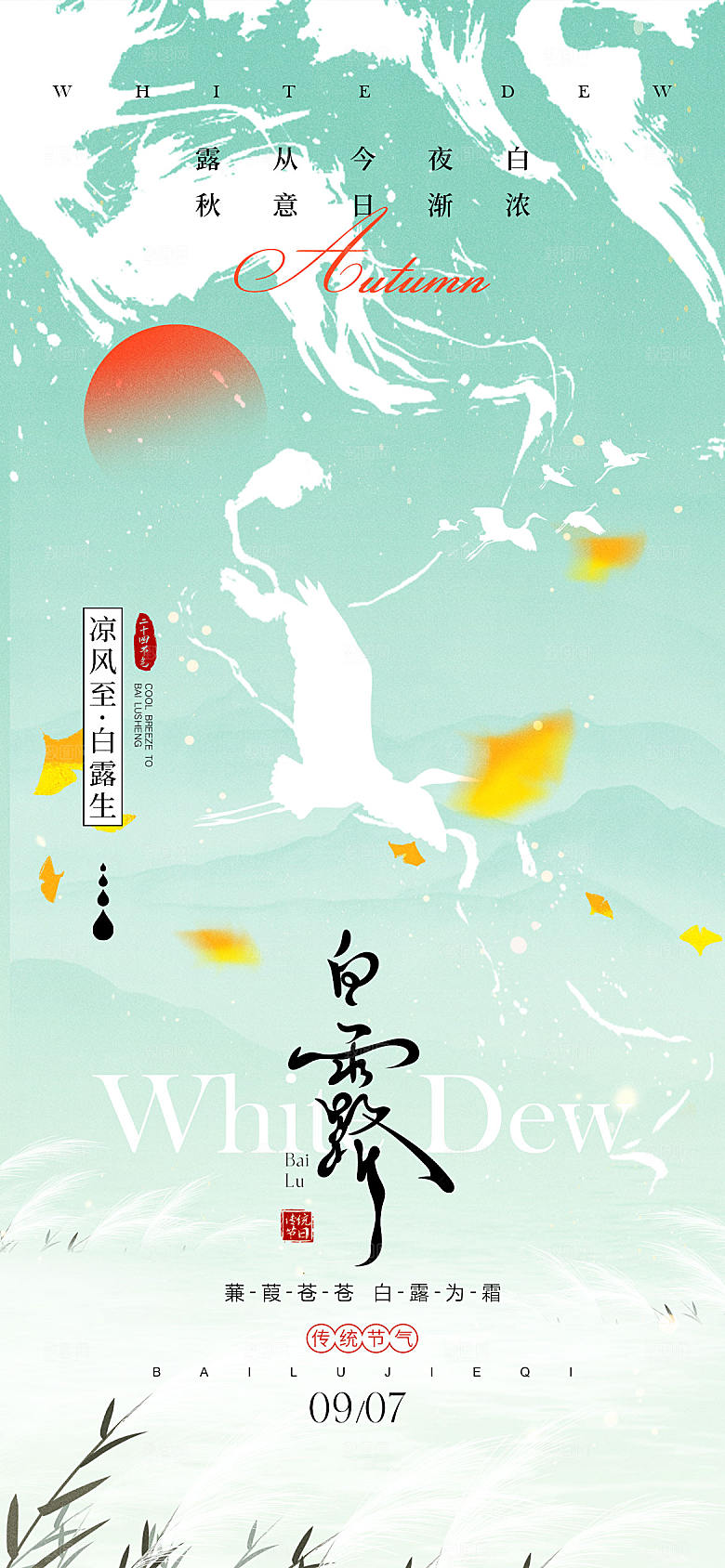 白露节气宣传海报