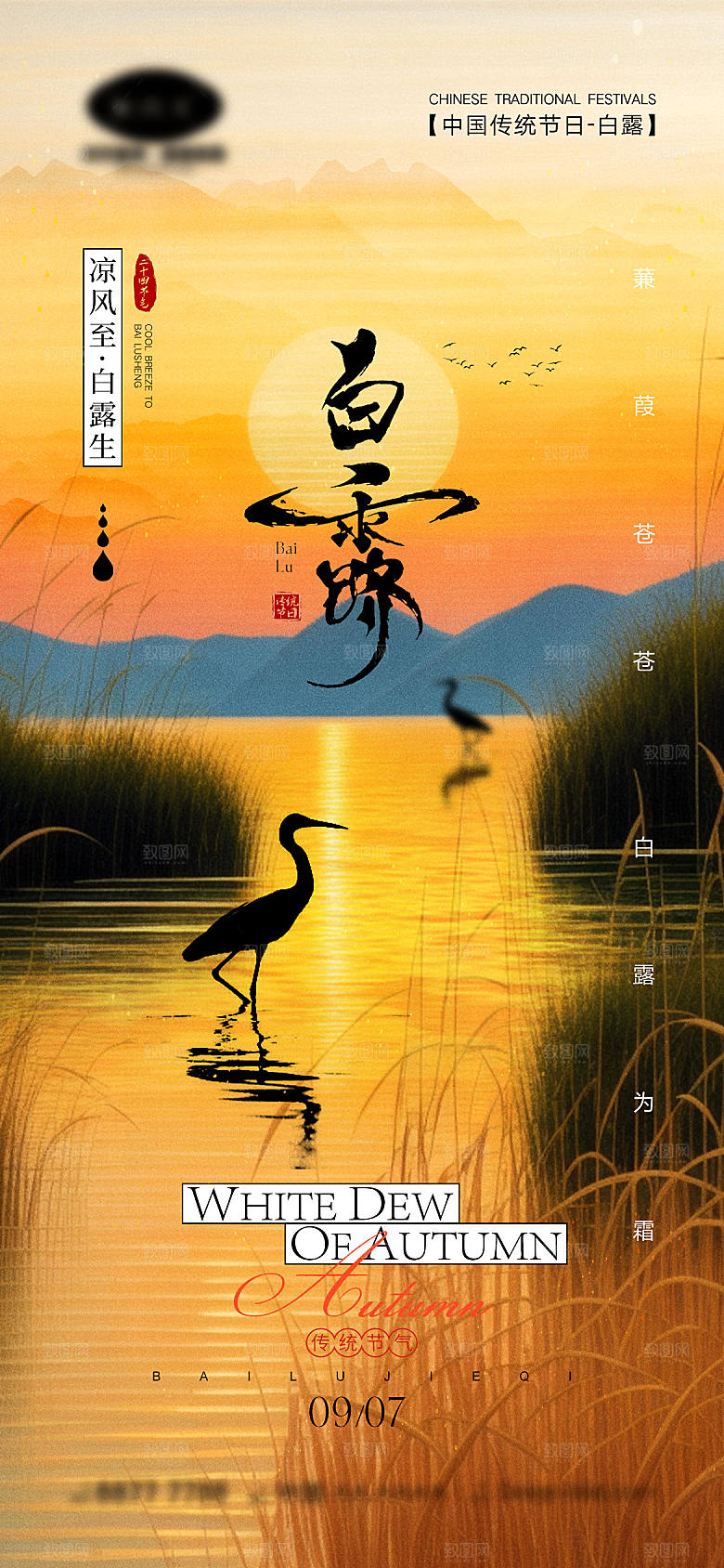 白露节气宣传海报