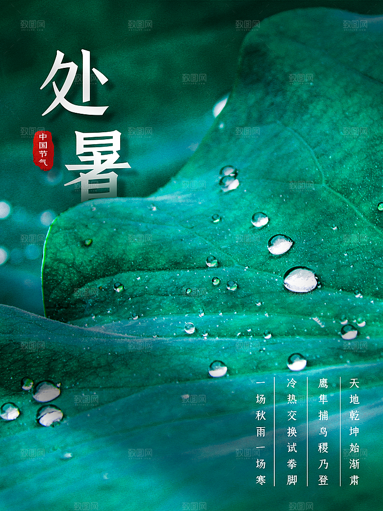 处暑节气简约大气海报