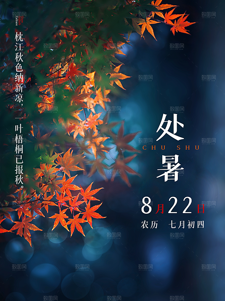处暑节气简约大气海报