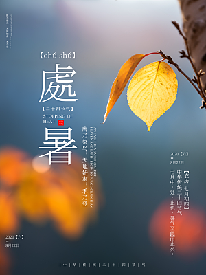 处暑节气简约大气海报