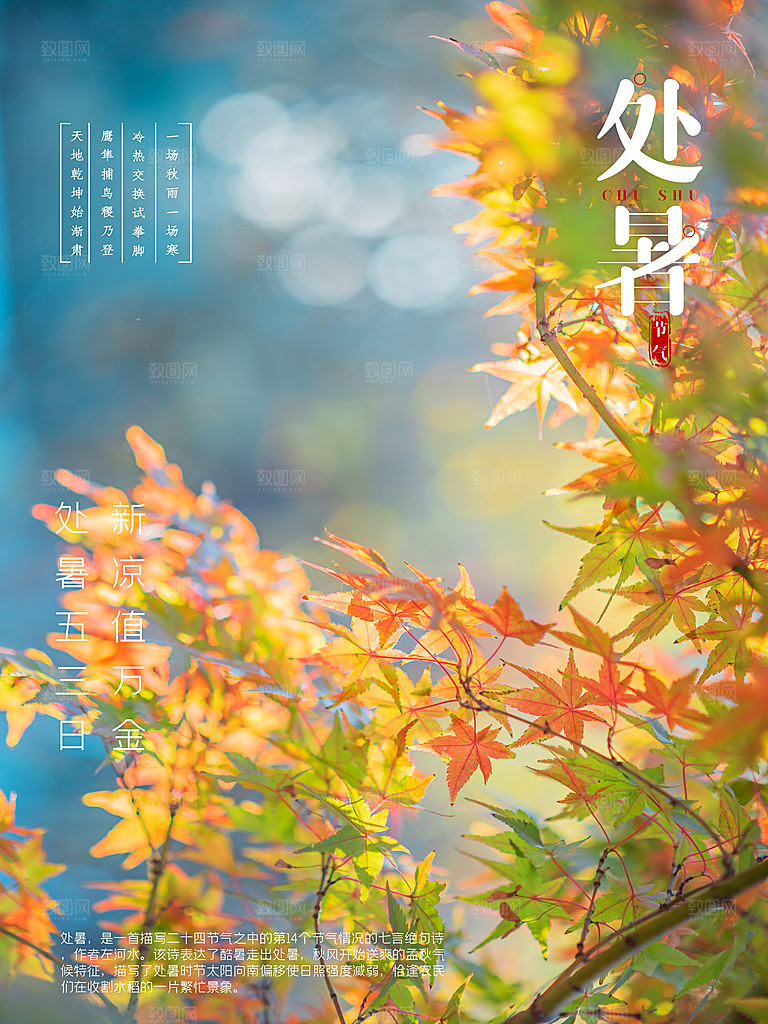 传统节气处暑海报模板