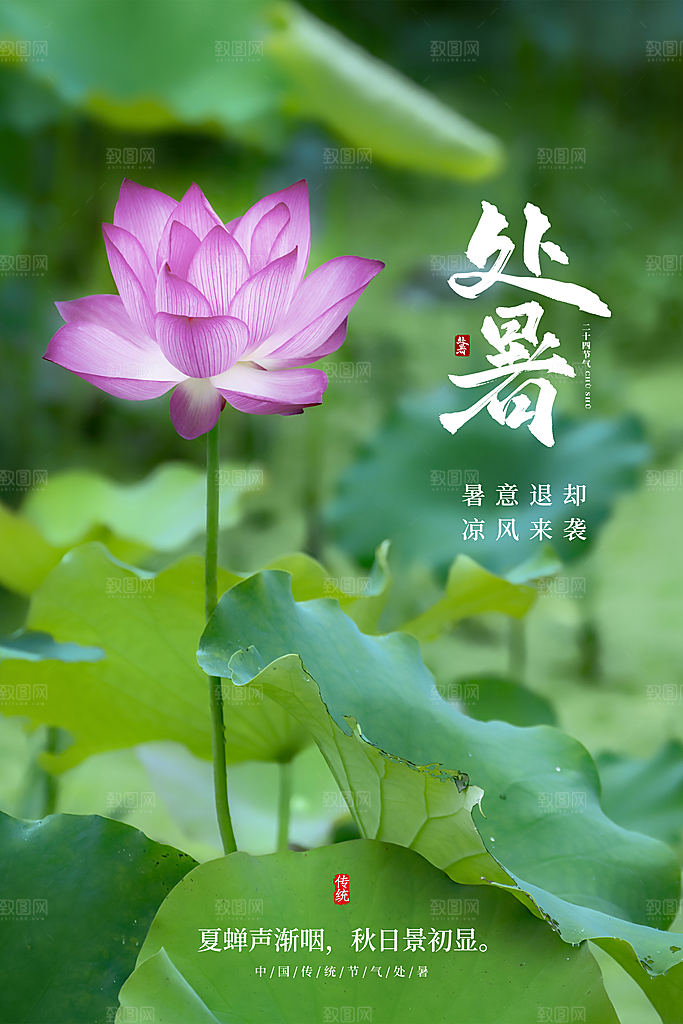 传统节气处暑海报模板