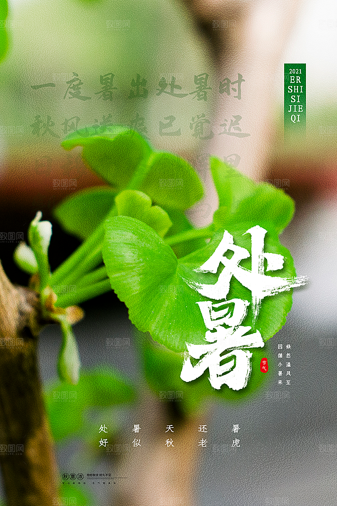 处暑节气简约大气海报