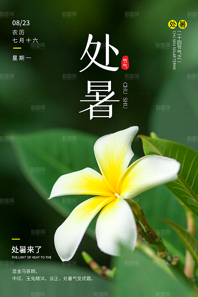 传统节气处暑海报模板