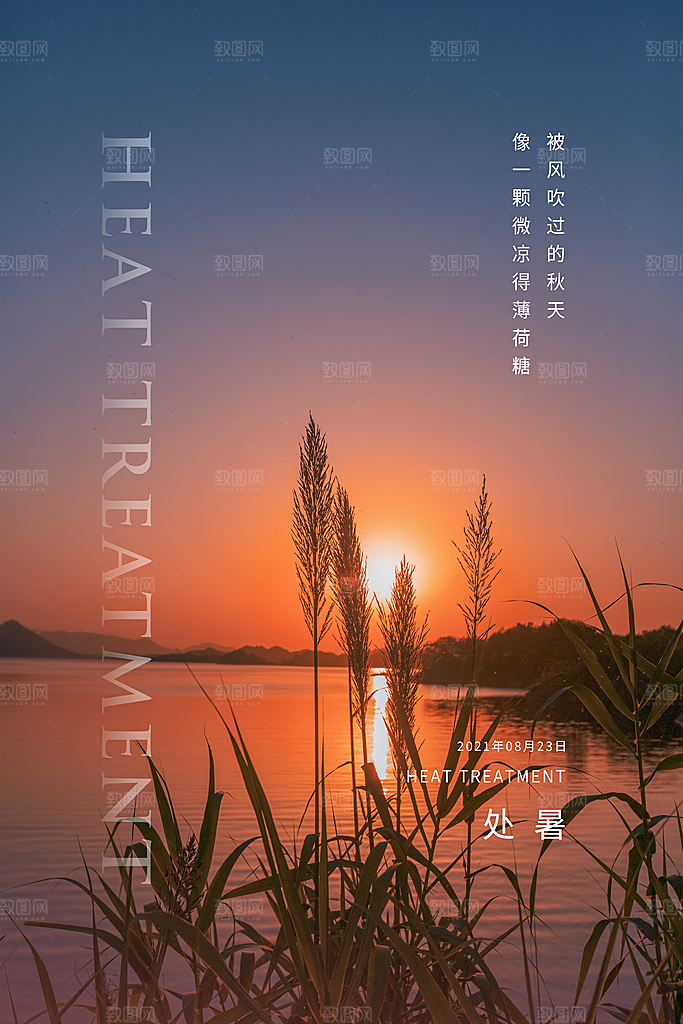 处暑节气简约大气海报