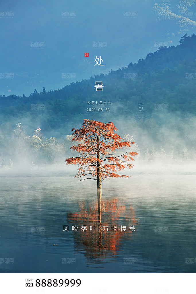处暑节气简约大气海报