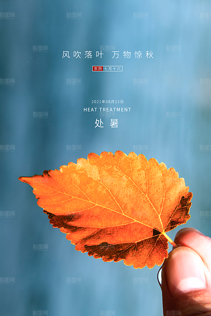 处暑节气简约大气海报