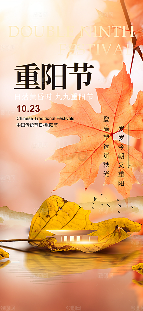 九月重阳节敬老爱老宣传活动海报