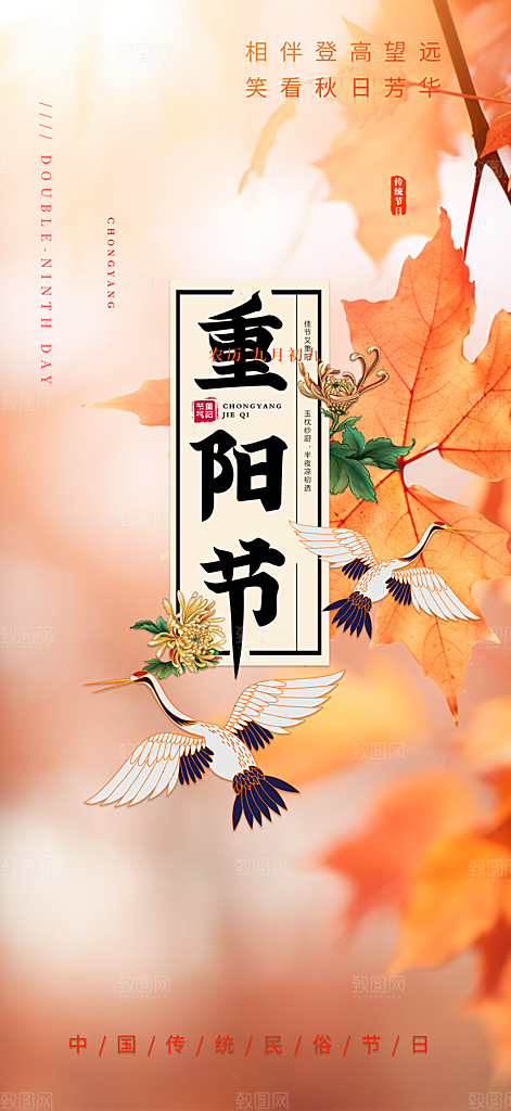 九月重阳节敬老爱老宣传活动海报