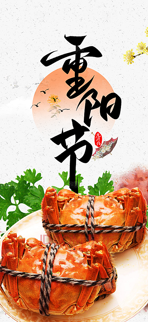 九月重阳节敬老爱老宣传活动海报