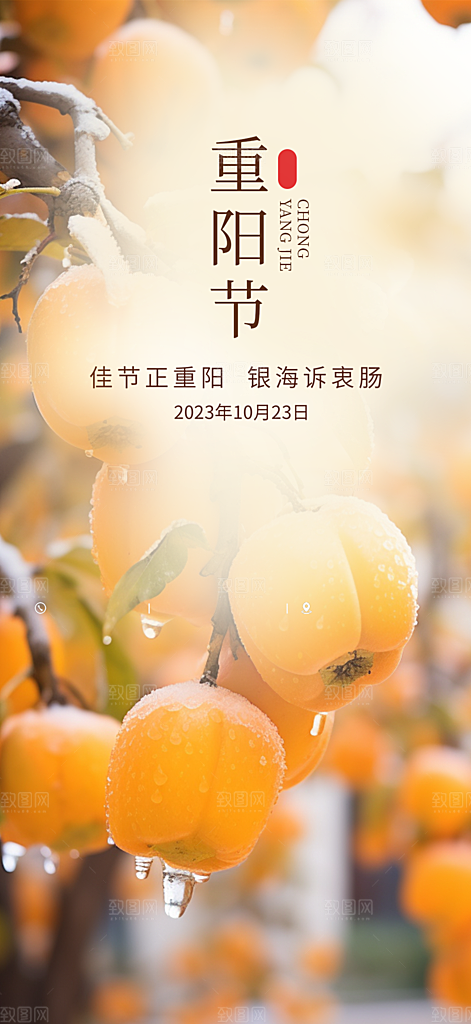 重阳节敬老爱老宣传活动海报