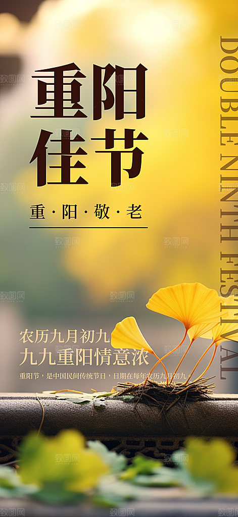 节日重阳节敬老爱老宣传活动海报