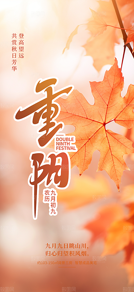 节日重阳节敬老爱老宣传活动海报