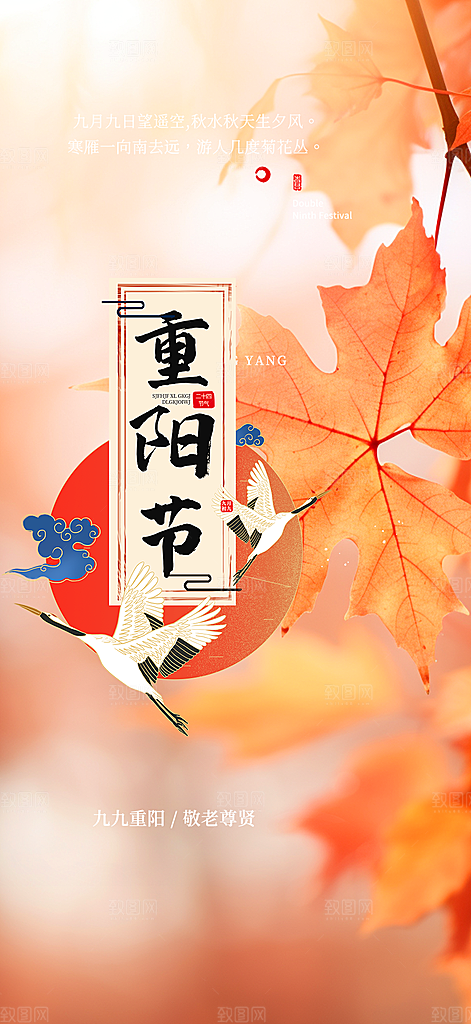 节日重阳节敬老爱老宣传活动海报