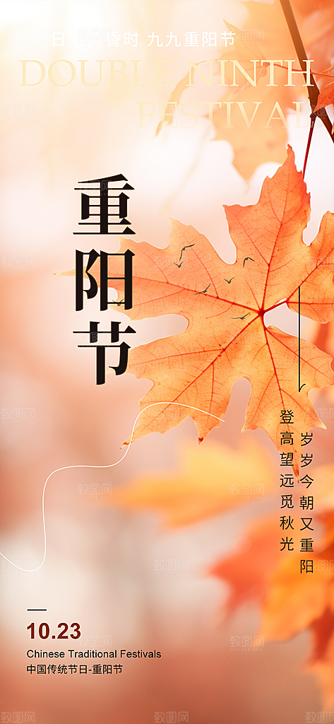 节日重阳节敬老爱老宣传活动海报