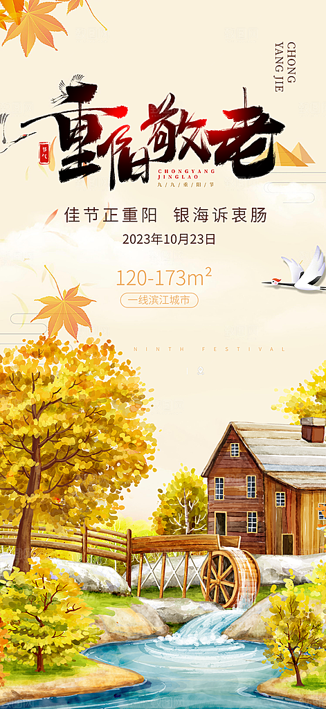 秋日节日重阳节敬老爱老宣传活动海报