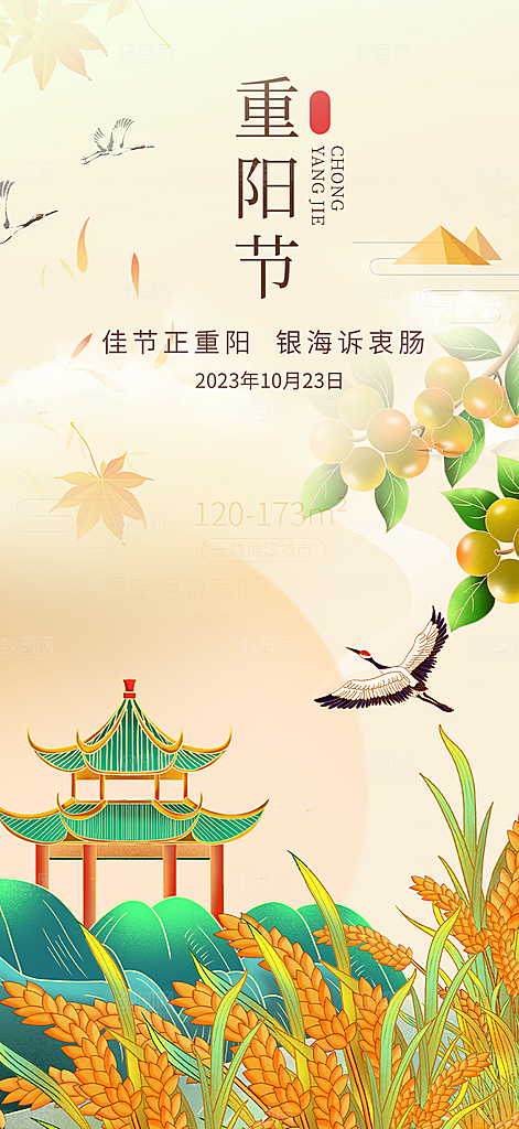 秋日节日重阳节敬老爱老宣传活动海报