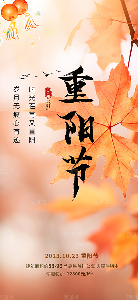 重阳节敬老爱老宣传活动海报