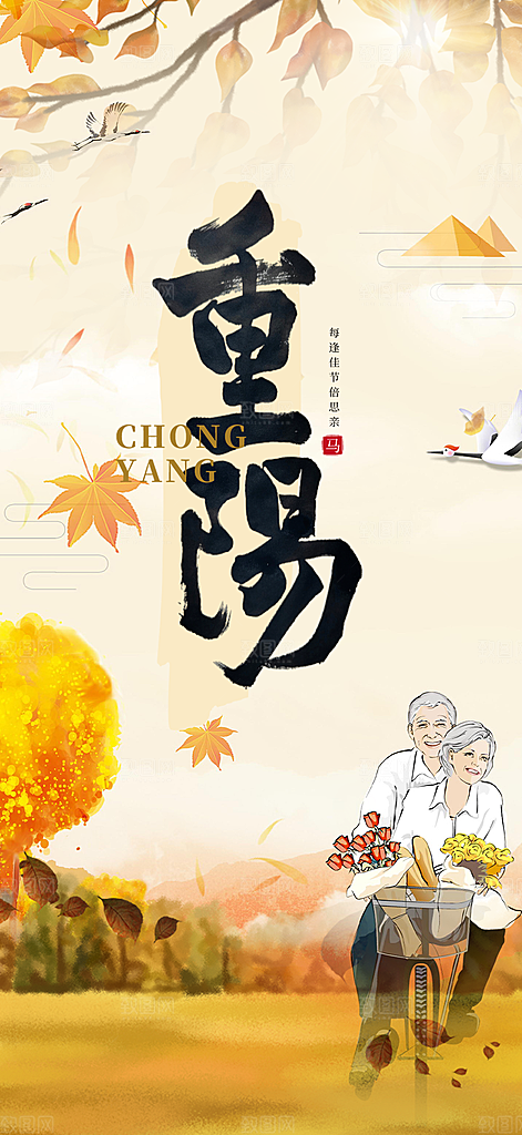 节日重阳节敬老爱老宣传活动海报