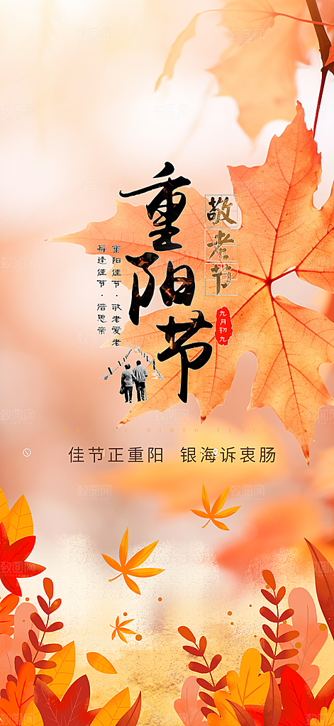 重阳节敬老爱老宣传活动海报