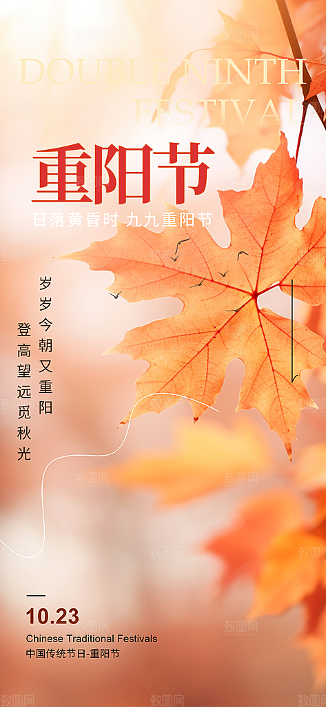 重阳节敬老爱老宣传活动海报
