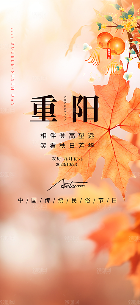 重阳节敬老爱老宣传活动海报