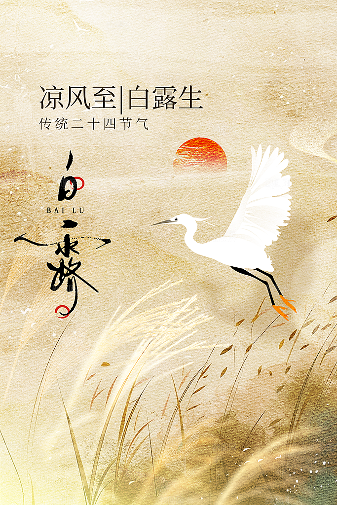 白露节气传统活动海报