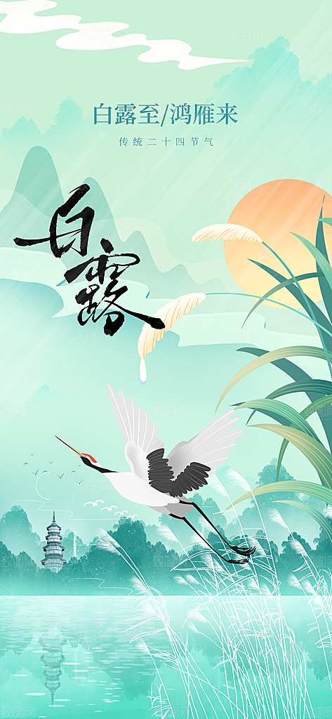 白露节气传统活动海报