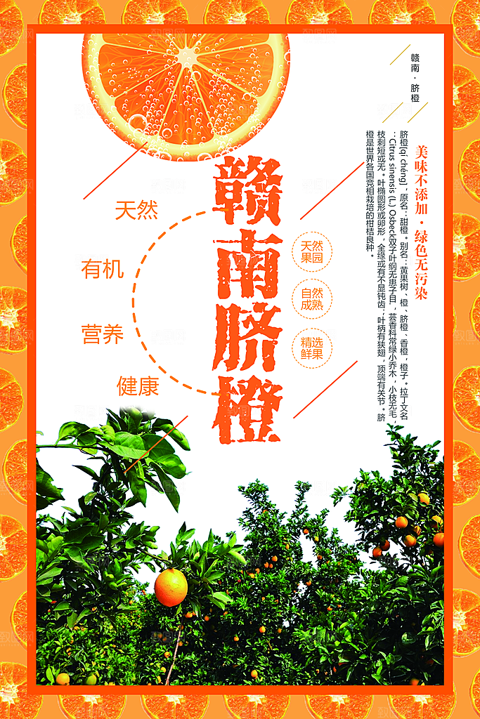 新鲜水果赣南脐橙