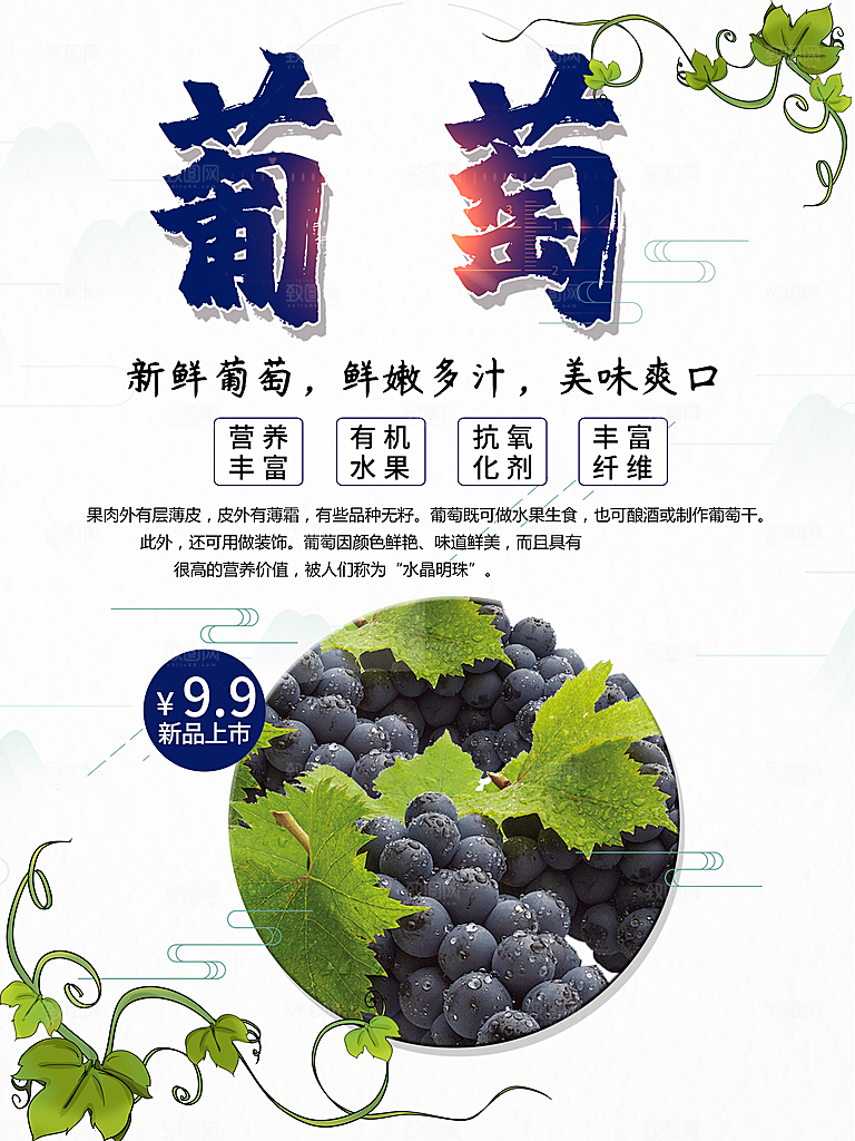 新鲜葡萄鲜嫩多汁
