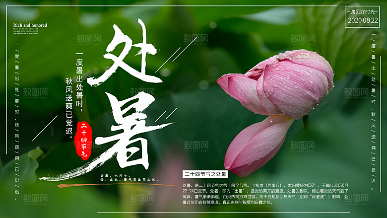 处暑节气简约大气海报