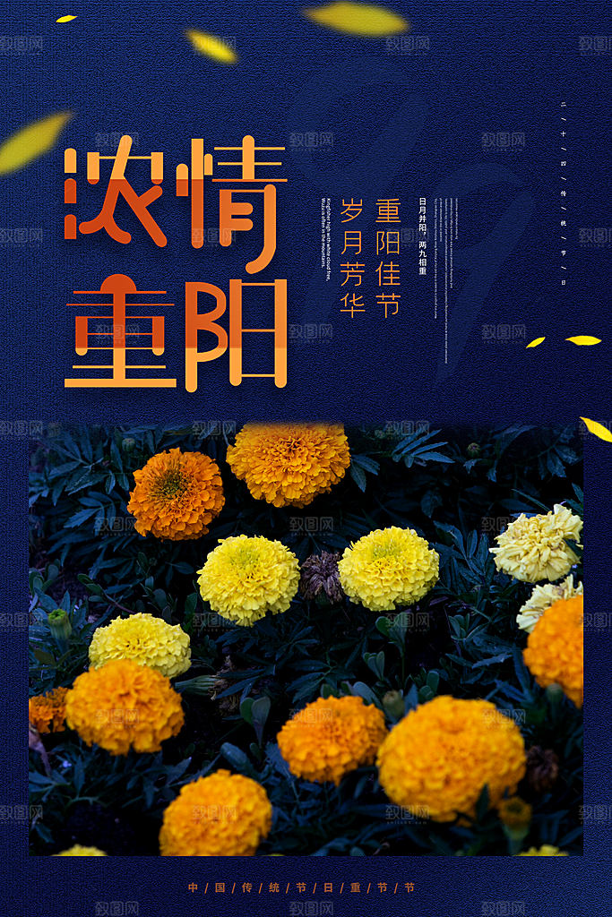 传统重阳节尊老思亲节日海报模板